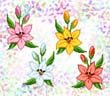 подробнее